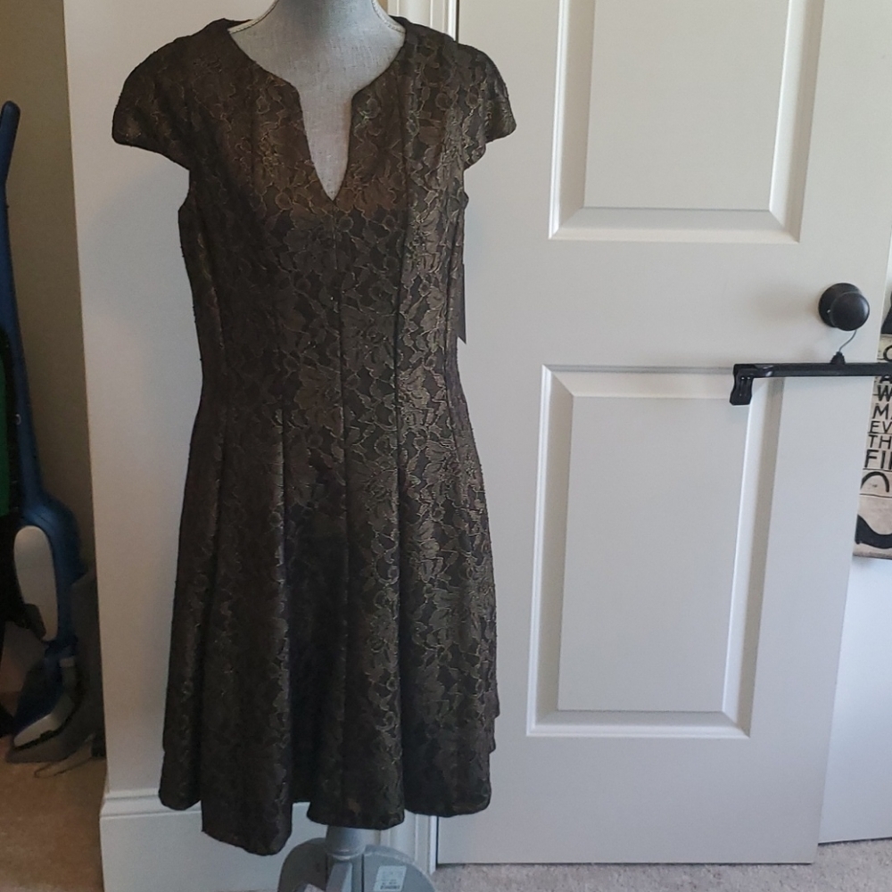 nwt women's sz 4 Julia Jordan copper lace dress